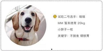 国产啊哈做视频在线爱,在线娱乐新风尚