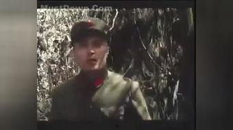 国产合集在线图片视频,精彩纷呈的视觉盛宴