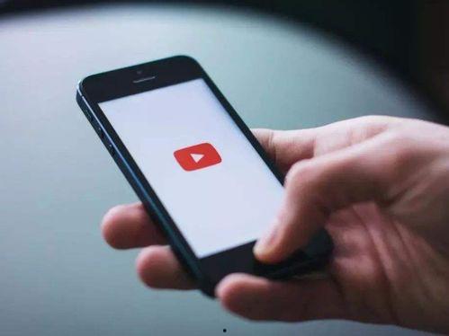 玖玖8J视频网站国产,国产生态下的短视频盛宴