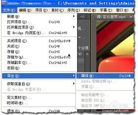 国产长视频 mp4,探索中国影视文化的深度与广度