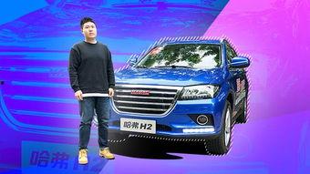 国产h2效果视频