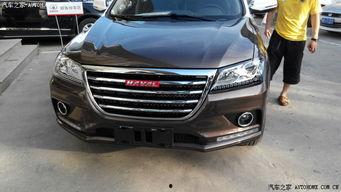 国产h2效果视频