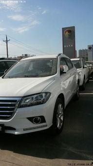 国产h2效果视频