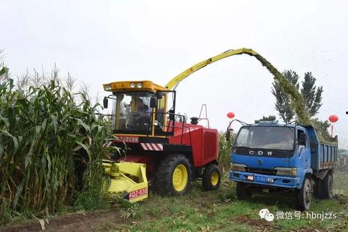 国产农机导航视频大全集,视频大全集深度解读