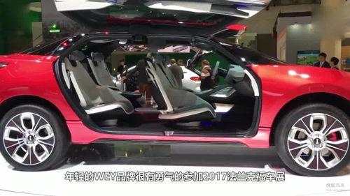 国产车被爆录视频