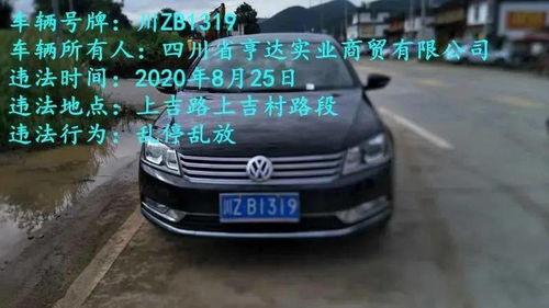 国产车违停视频真实图片,国产车违停引发热议,网友热议停车规范与城市秩序 第3张 国产车违停视频真实图片,国产车违停引发热议,网友热议停车规范与城市秩序 第3张