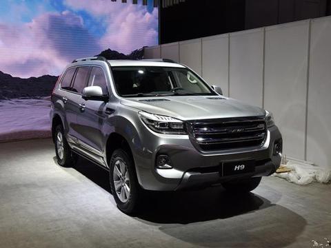 国产进藏最新视频,探秘国产进藏之旅新篇章