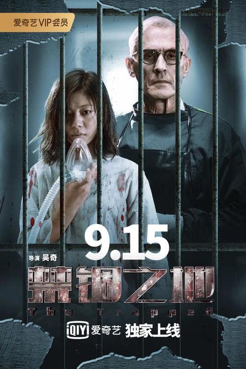 推荐免费国产大片视频,盘点热门免费大片，畅享视听盛宴