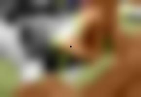 国产射脸上视频,视频展示震撼效果