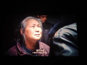 国产药神被抓视频大全集,揭秘抓捕背后的惊心动魄