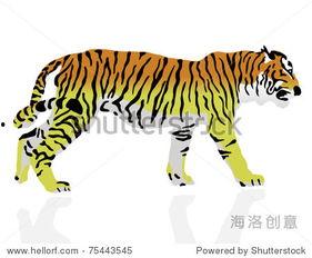 国产人与动物插画视频,人与动物和谐共融的美好画卷